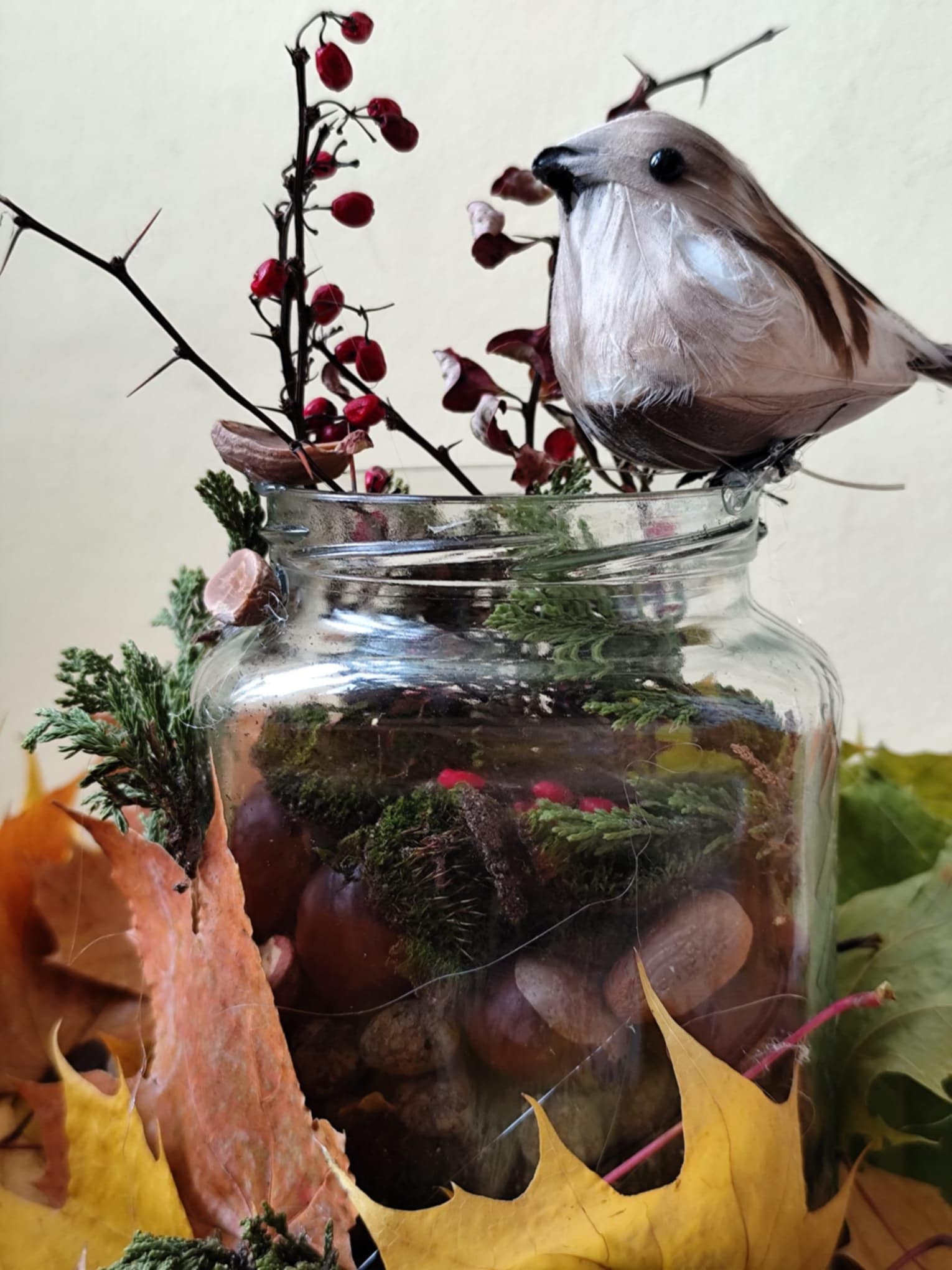 Zdjęcie lasu w słoiki i ptaszka